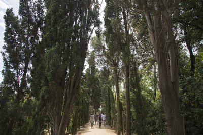Imatge d'un dels camins del parc