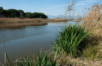 Riera de la Murtra