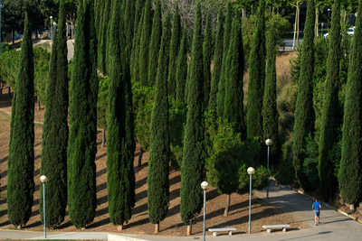 Parc del Torrent de la Font i del Turó de l'Enric