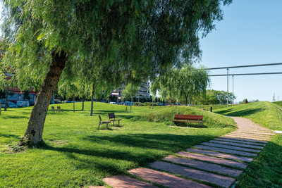 Un dels camins del parc