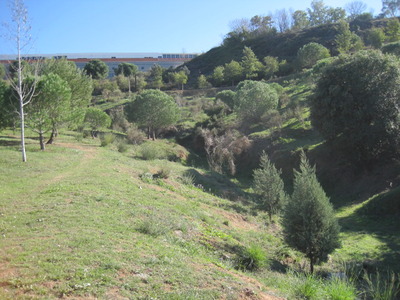 Imatge d'una de les zones del parc