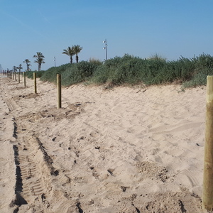 Protecció perimetral de la vegetació de les zones de dunes