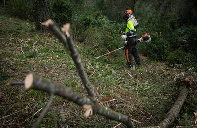 Un operari fa anar una desbrossadora a la zona boscosa de Cervelló, a tocar de la urbanització