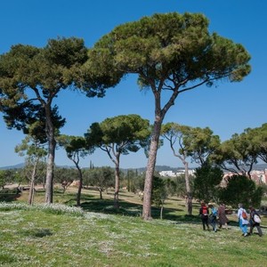 Parc del Calamot