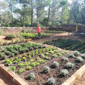 Jardí d'herbes remeieres del parc de l'Ermita del Pla de Sant Joan