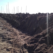 Millora de les dunes de Castelldefels