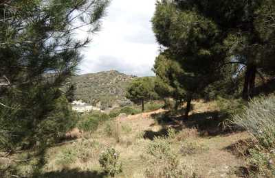 Zona forestal del parc de la Bastida