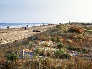 Imatge de les platges del Prat Llobregat
