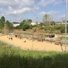 Àrees i espais d'esbarjo per a gossos