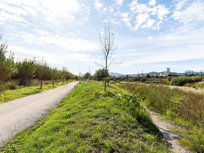 Millora camí riu Llobregat
