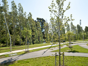 Imatge del parc