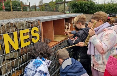 Imatge d'una activitat al parc