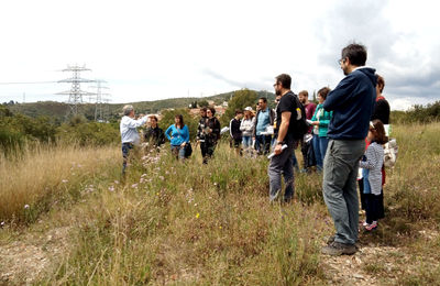 Curs d&#39;identificació de papallones