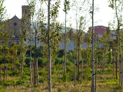 Meandre de Sant Joan Despí