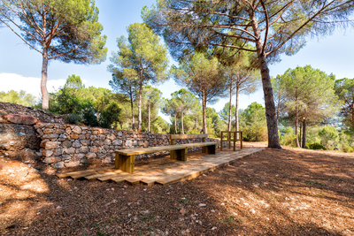 Zona de descans amb bancs i ombra