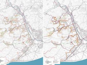 Jerarquia viaria proposada i projecte dels trams viaris estructurants a la totalitat del territori de l'Ordal