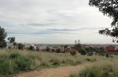 Espai renaturalitzat a prop de les cases d'una urbanització