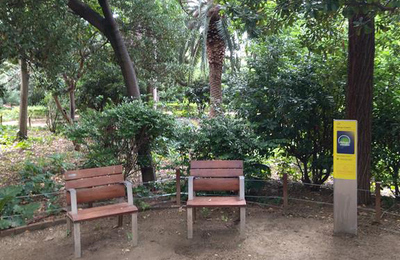 Decorativa