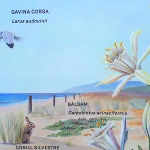 Galeria 1