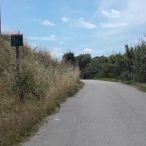 Camí de la Ribera - Sotapont C-32
