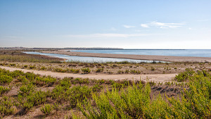 Imatge de les platges del Prat Llobregat