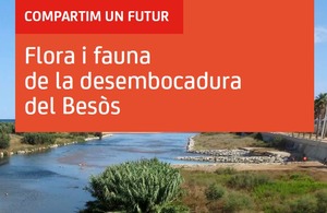 Flora i la fauna de la desembocadura del Besòs