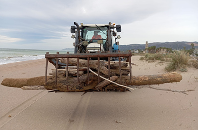 Un tractor en una platja transporta troncs de fusta utilitzant un accessori de forquilla.
