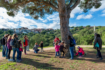 Parc del Pi gros