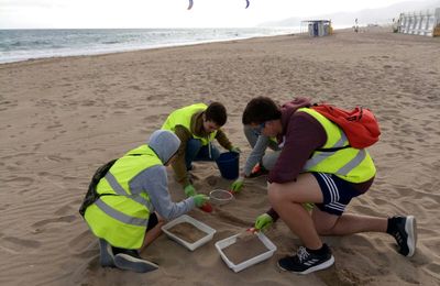 Estudi de microplàstics a la platja de Barcelona