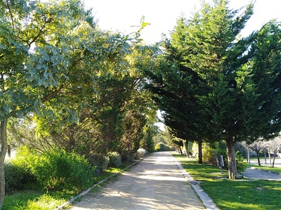 Un dels camins del parc