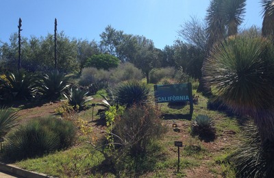 Imatge de la zona de vegetació de Califòrnia