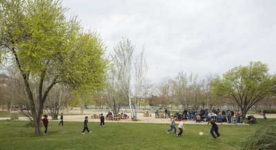 Zona de gespa i taules de pícnic del parc