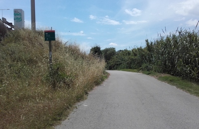 Camí de la Ribera - Sotapont C-32