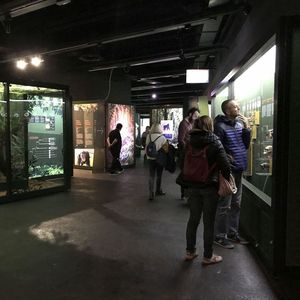 Exposició 