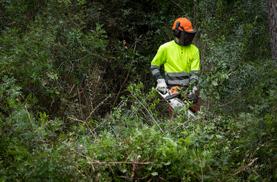 Un operari fent una intervenció a Collserola