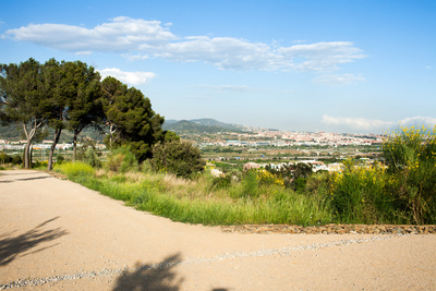 Vistes des d'una part elevada del parc