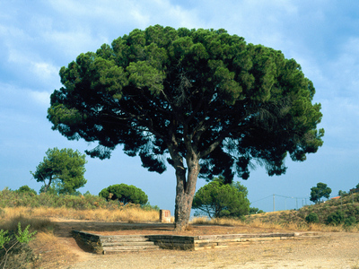 Imagen del parque