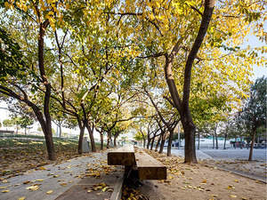 Imagen del parque