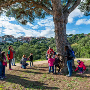 Parc del Pi gros