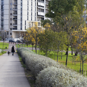 Una persona passejant un gos al parc de la Fontsanta