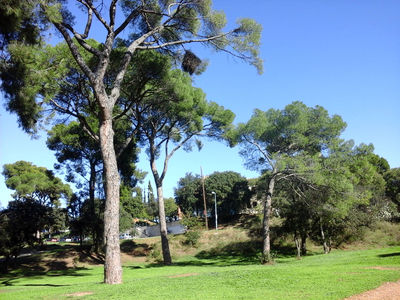 Parc del Bosc de Can Gorgs