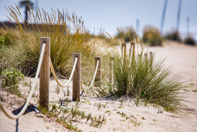 Recuperem les dunes de Gavà