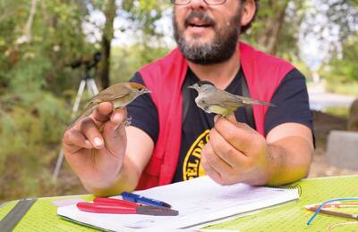 Tècnic de natura parlant amb dos ocells a la mà