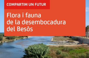 Flora i la fauna de la desembocadura del Besòs