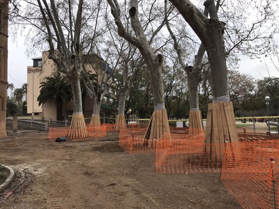 Procés constructiu dels diferents espais del parc