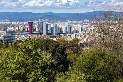 Les vistes des del jardí