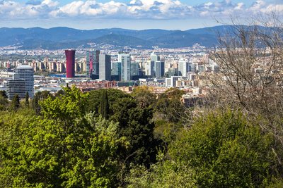 Les vistes des del jardí