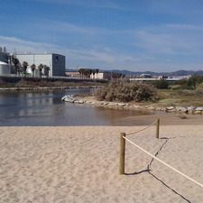 Espai protegit a la barra de sorra de la desembocadura del Besòs