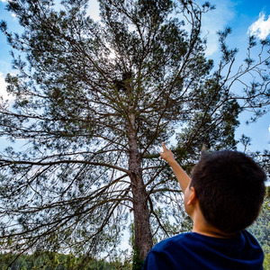 Recompte final del Bioblitz