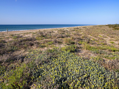 Platges metropolitanes